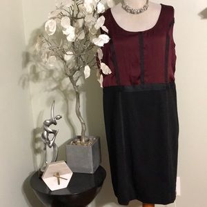 DANA BUCHMAN DRESS